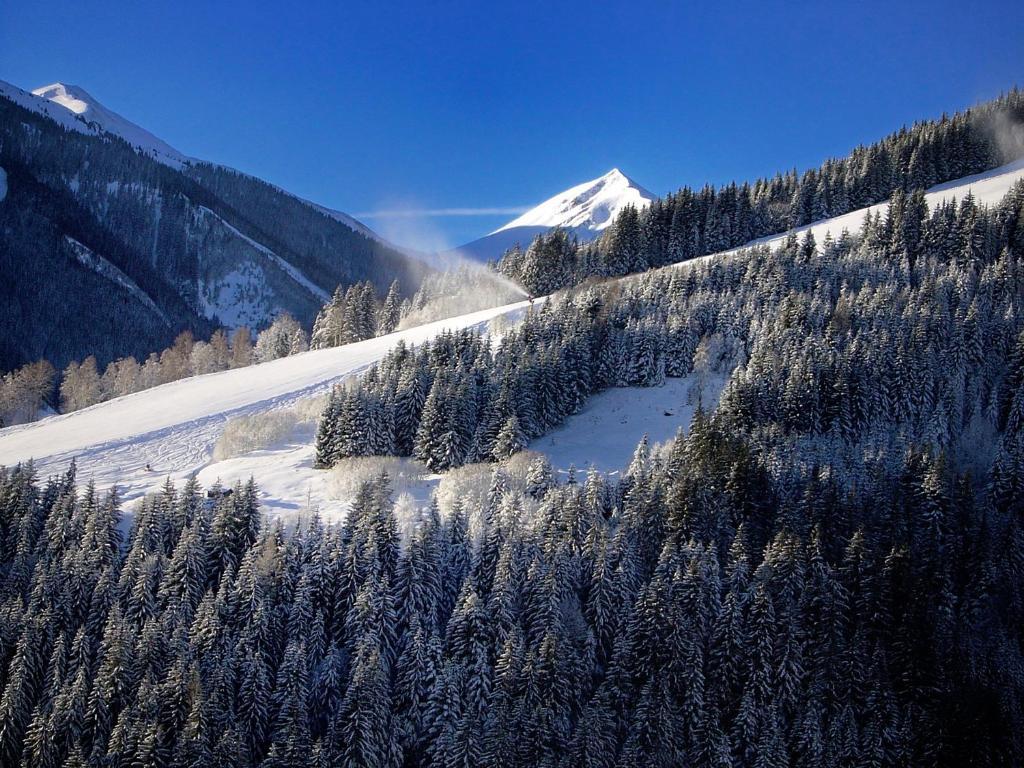 Apartamento Mh Hochwimmer Saalbach-Hinterglemm